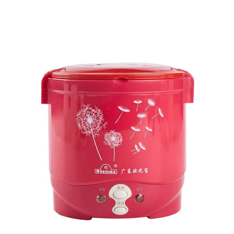 Convenient Portable Compact Eco-Friendly Plastic Electric Pot