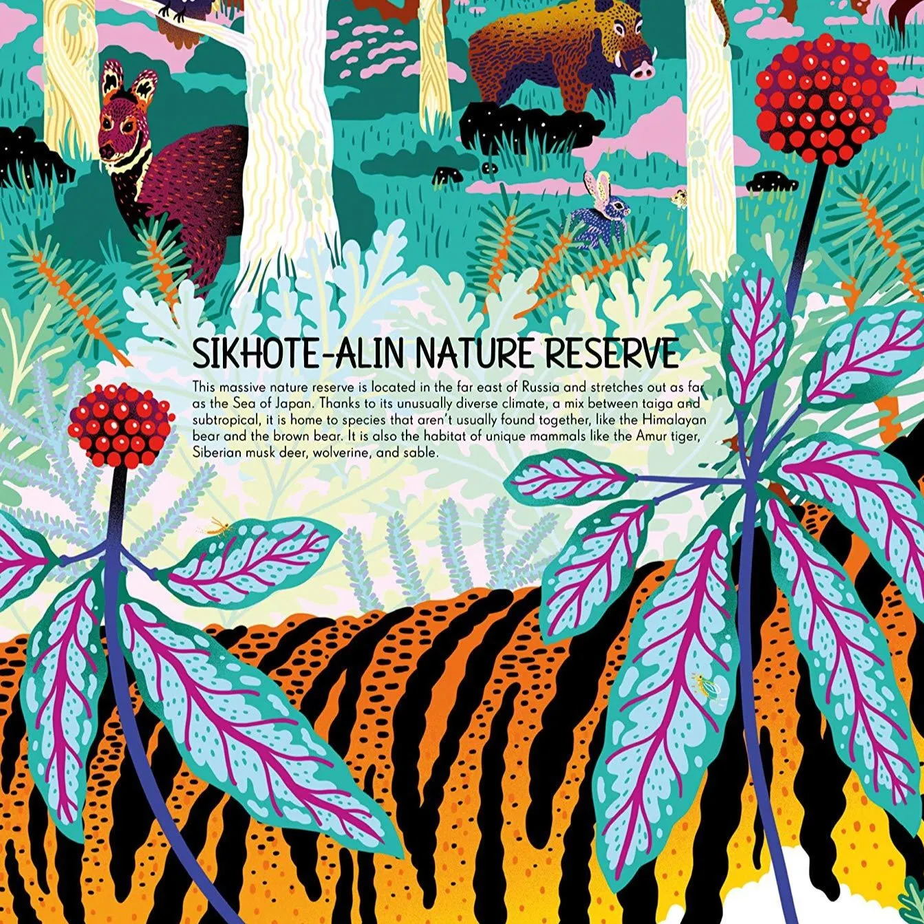 Wilderness: Earth's Amazing Habitats - Hardcover